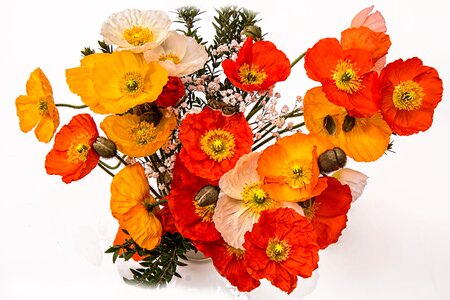 Bright colorful friendly