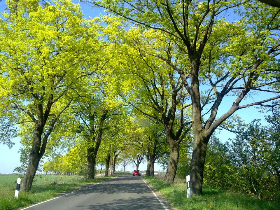 Ragow l45 country road