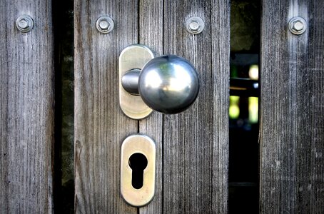 Texture wood grain structure photo