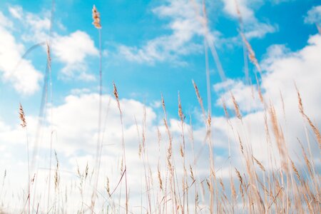 Blue nature sky