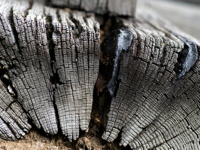 Wood textures gray wood photo