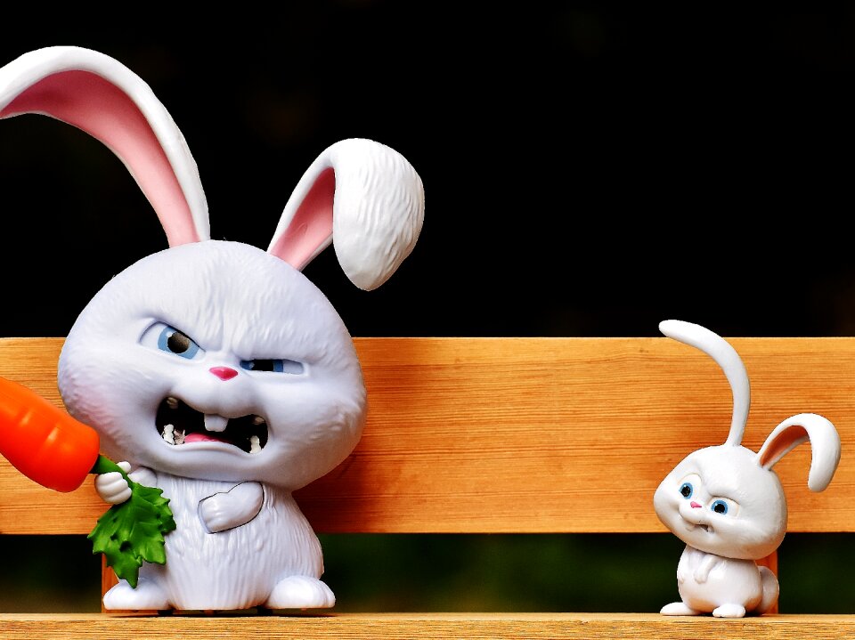 Snowball film character pets