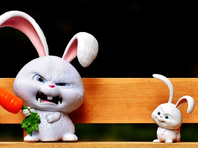 Snowball film character pets