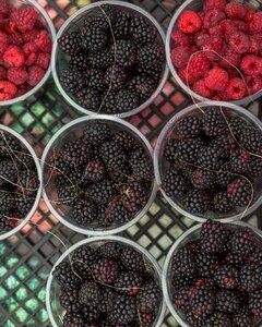 Berries of a raspberry grade garden photo