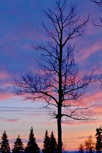 Sunset evening pink sky