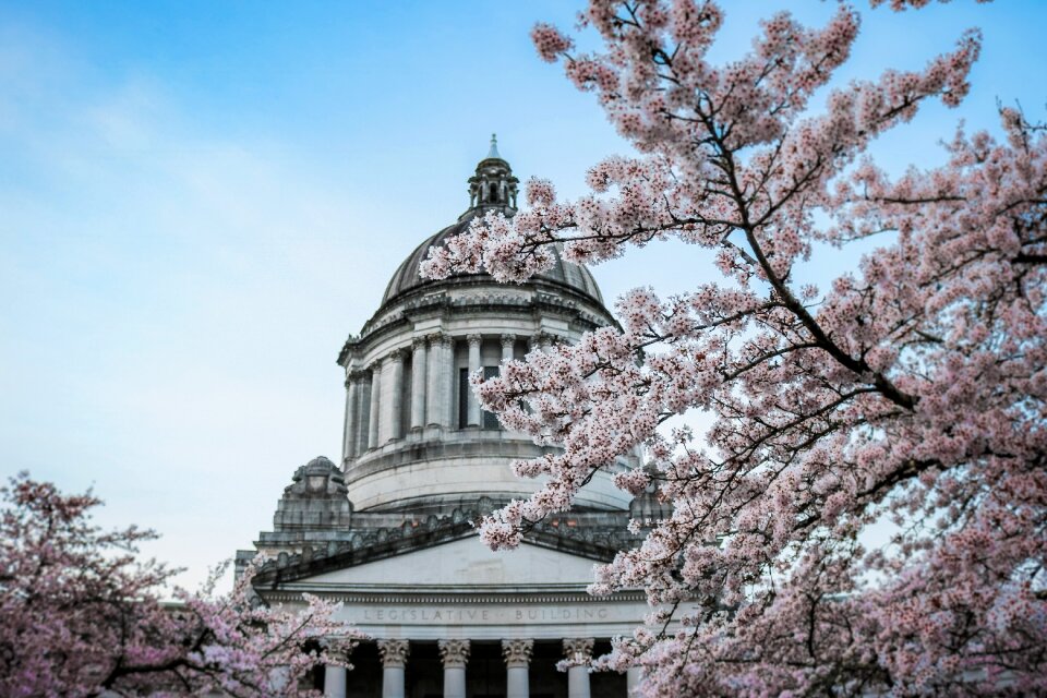 Building washington state