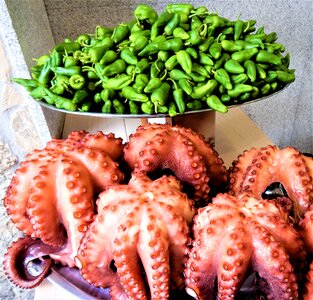 Pulpo restaurant traditional