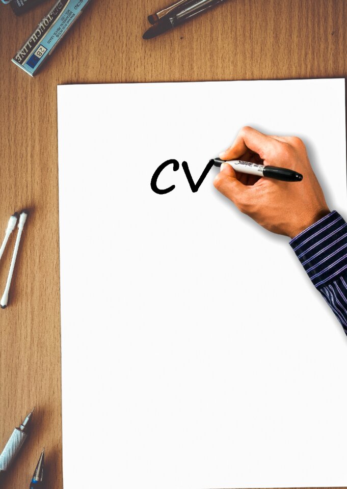 Vitae work application