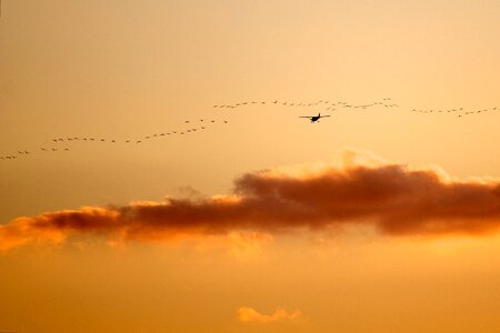 Nature landscape sky