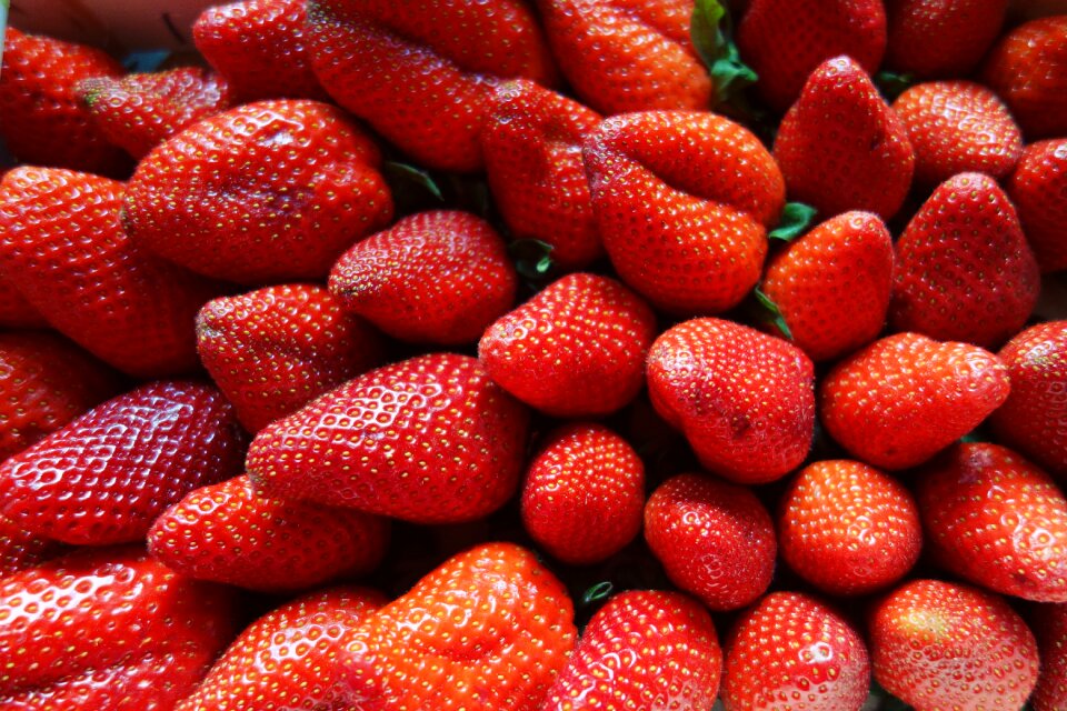 Fruits red fresh