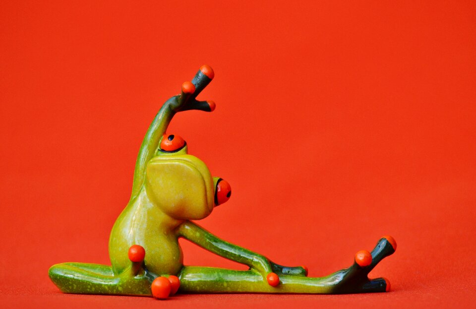Gymnastics funny frog