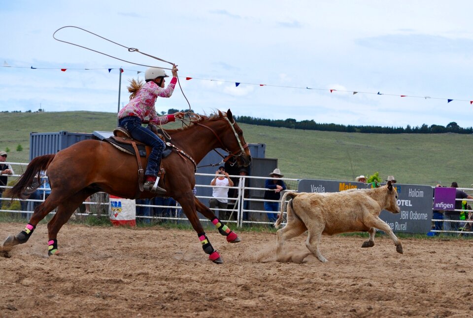 Competition western cowgirl