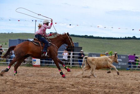 Competition western cowgirl