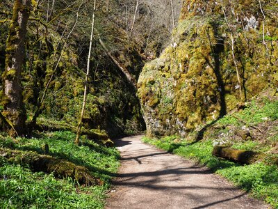Trail swabian alb hiking