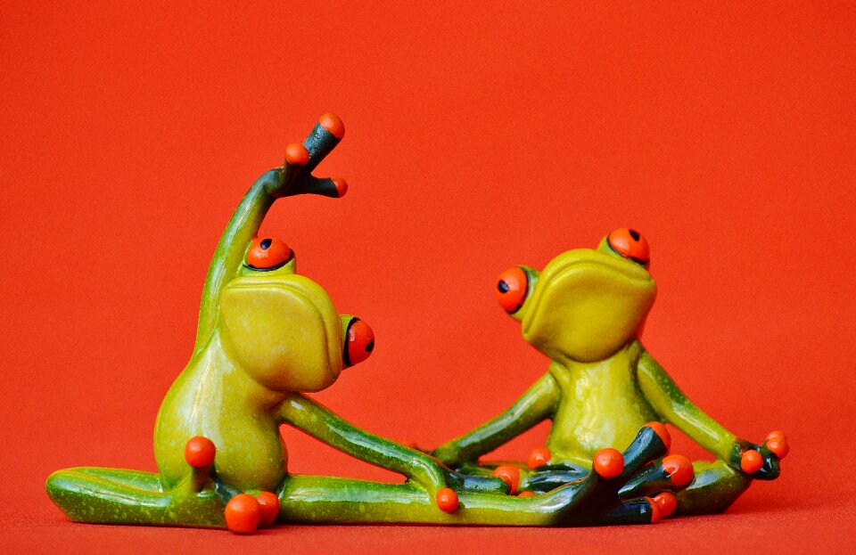 Gymnastics funny frog