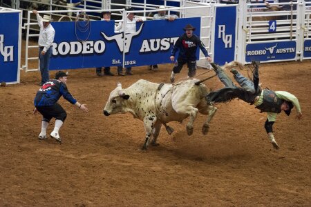 Man bucking fall photo