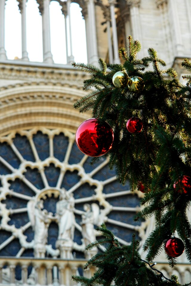 West rose detail christmas