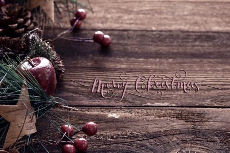 Red green fir