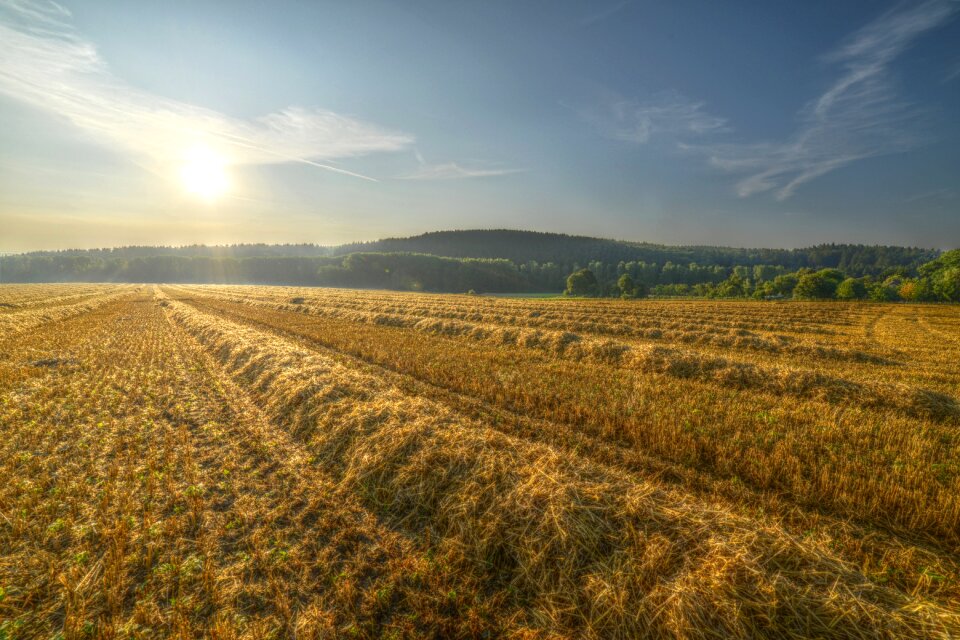 Summer autumn mood