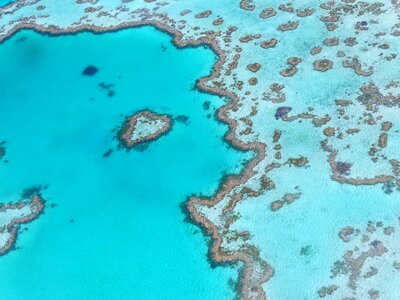 Heart reef australia great barrier reef photo