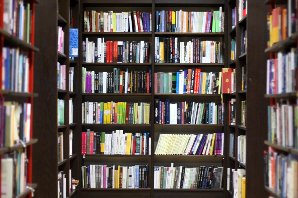 Education literature knowledge