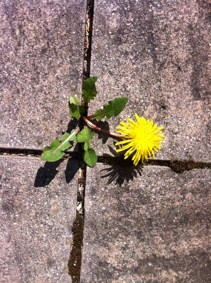 Live pavement resistance