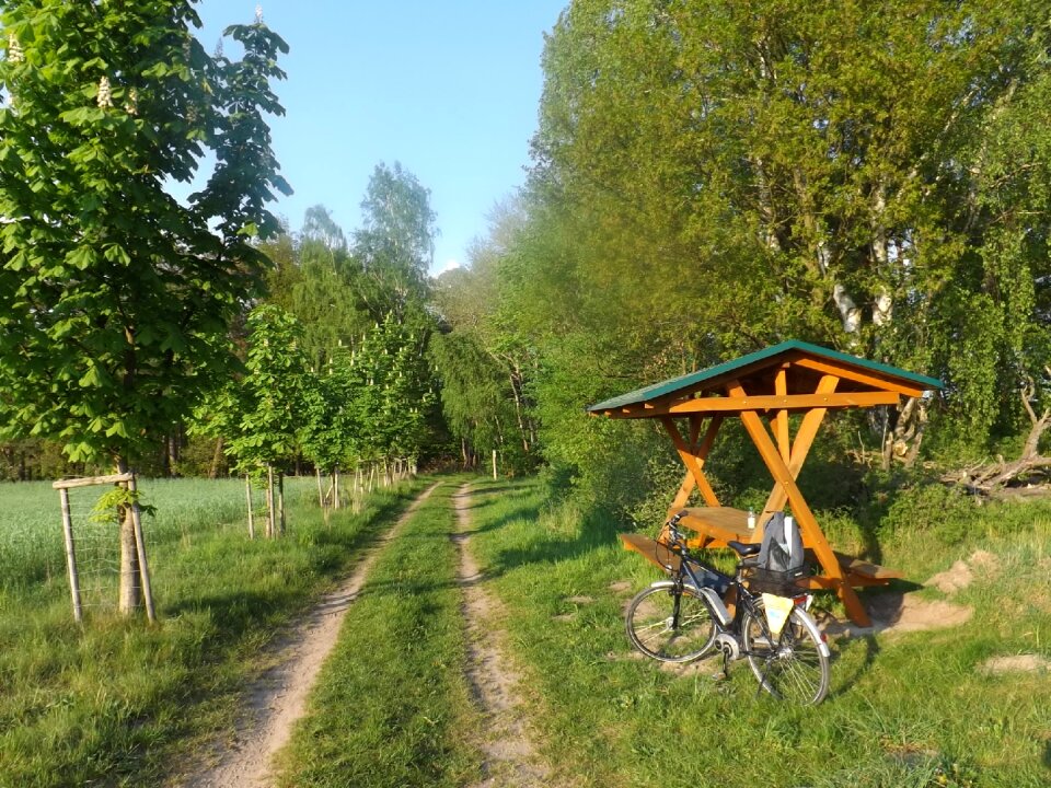 Resting place bike forest path