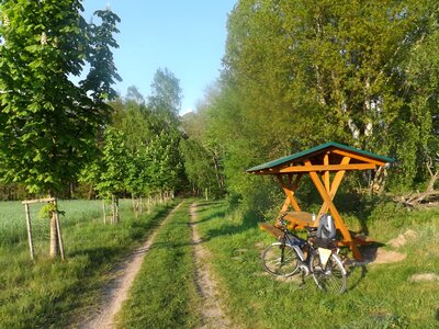Resting place bike forest path