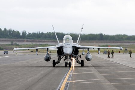 Hornet marines usmc