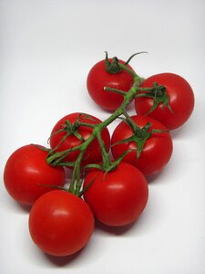 Food healthy vegetarian