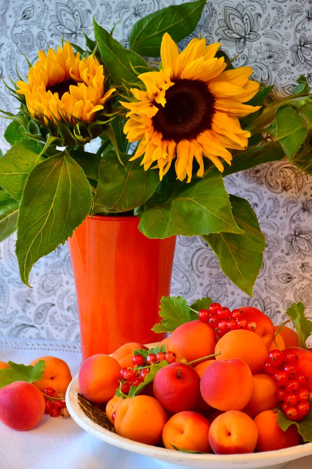Stone fruit flowers sweet