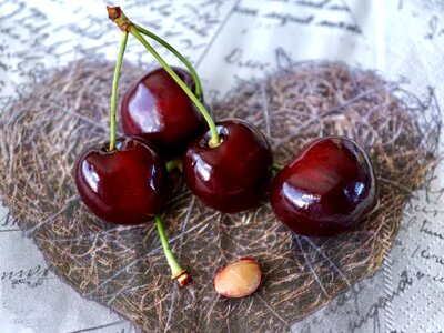 Fruits sweet cherry cherry harvest