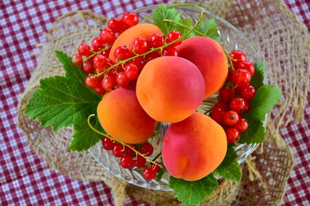 Stone fruit sweet delicious photo