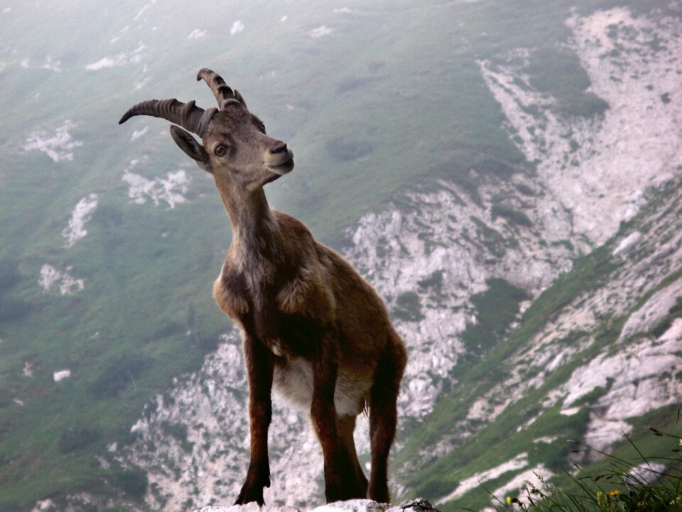 Mountains nature wild