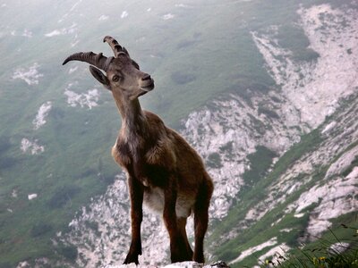 Mountains nature wild