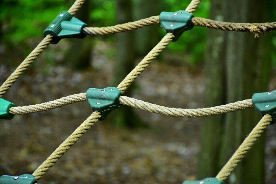 Climbing forest forest high