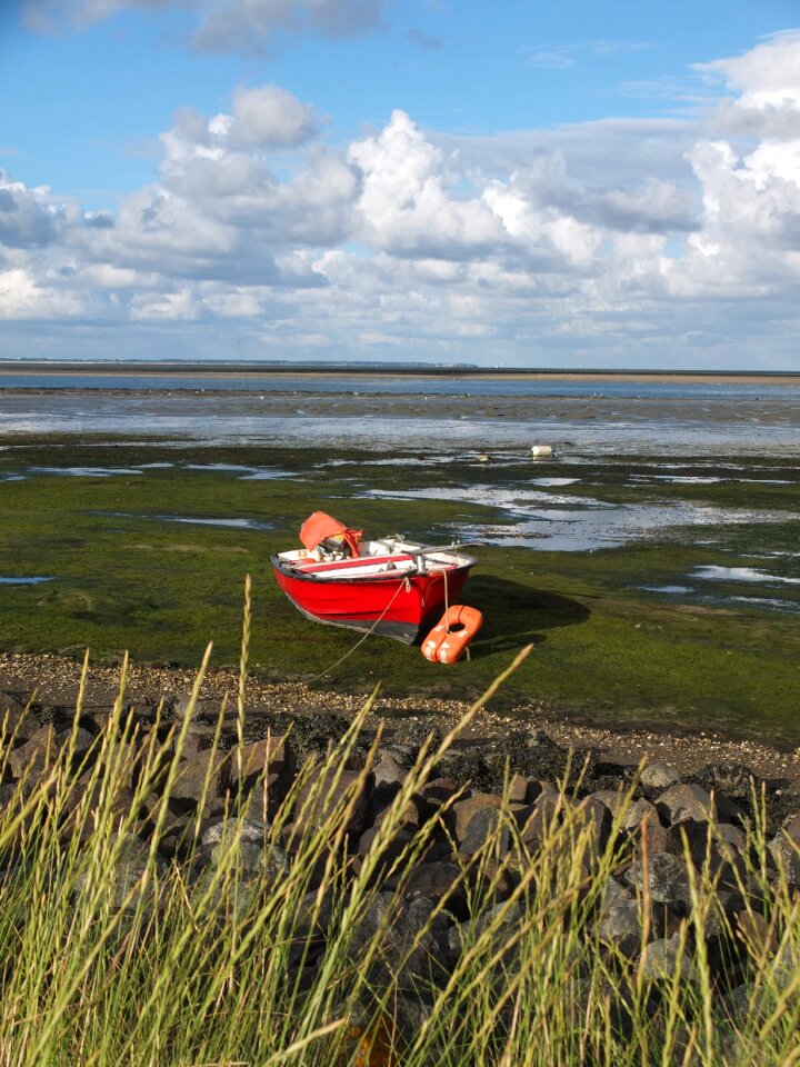 Watts north sea wadden sea photo