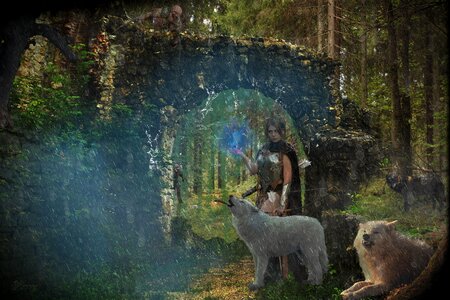 Wolf nature predator