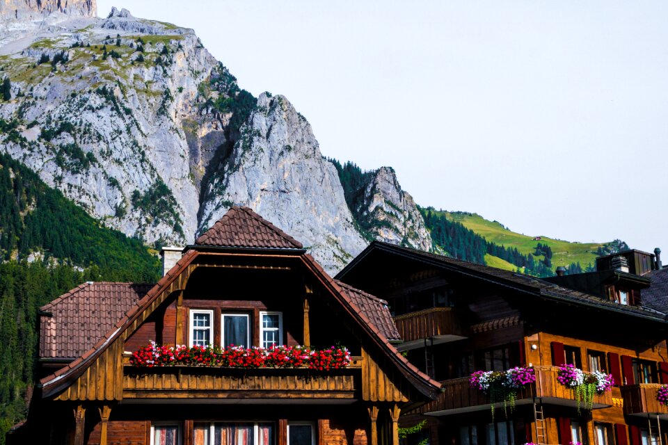 Switzerland land bauer