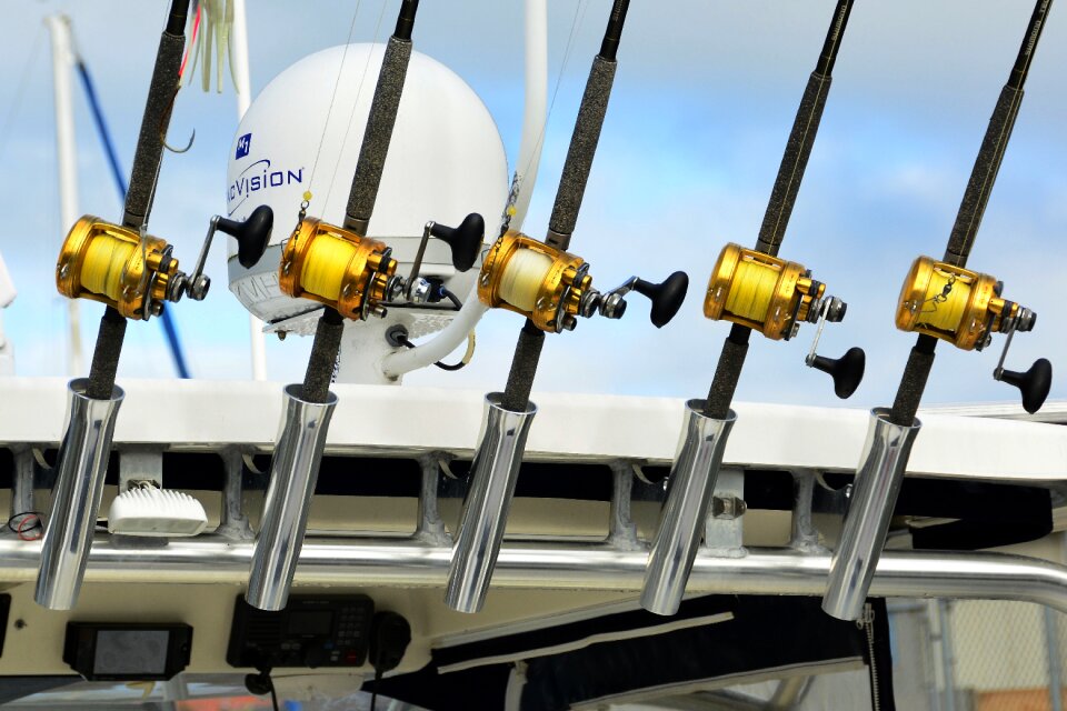 Rod angler spinning