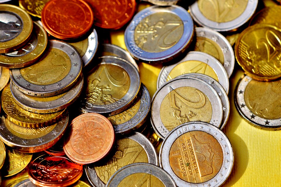 Euro specie loose change