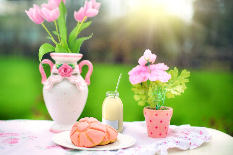 Flowers pink spring