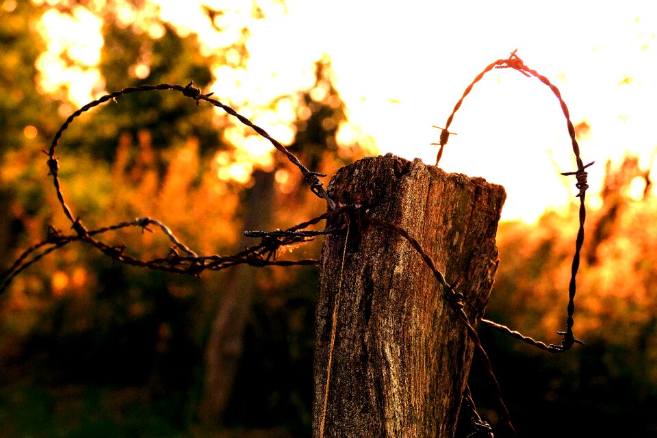 Evening sunset farmland photo