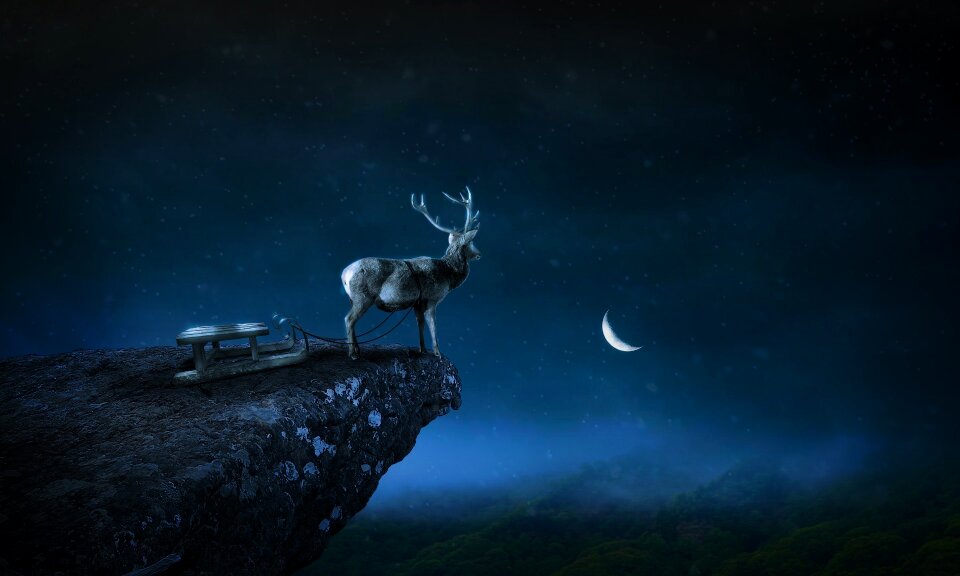 Photoshop fantazy manipulation