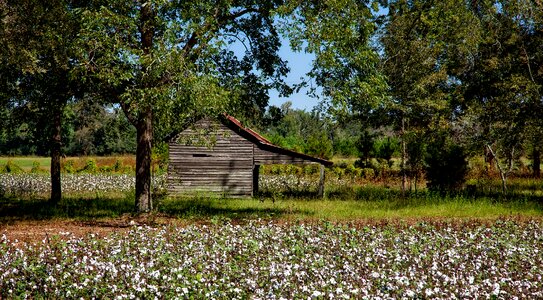 Agriculture field barn photo