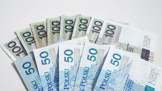 Fifty dollars a wealth of earnings