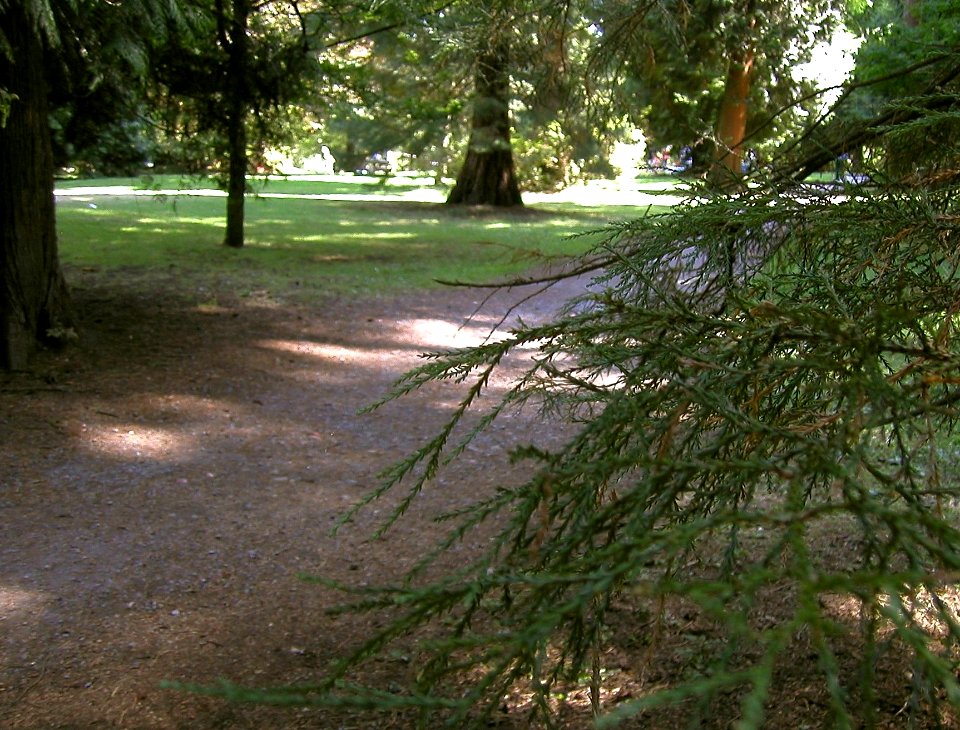 The Royal City's Park
