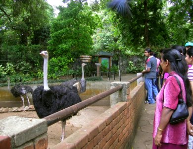 Colombo, Sri Lanka Zoo 03/05