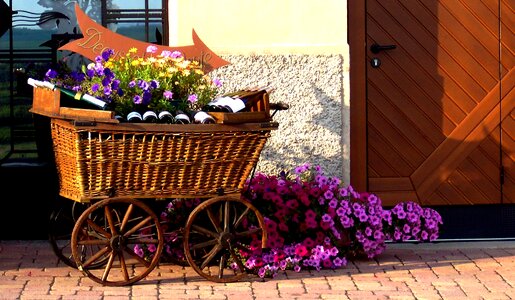 Cart wicker flowers