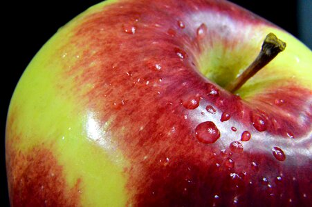 Eating eat health